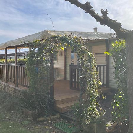 Camping Carrefour De L'Ardeche Saint-Remeze Zewnętrze zdjęcie